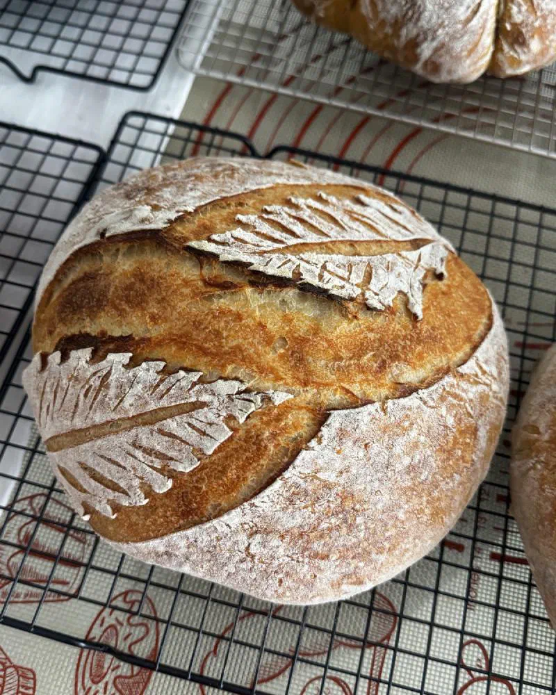 A round loaf scored with two fern leaves
