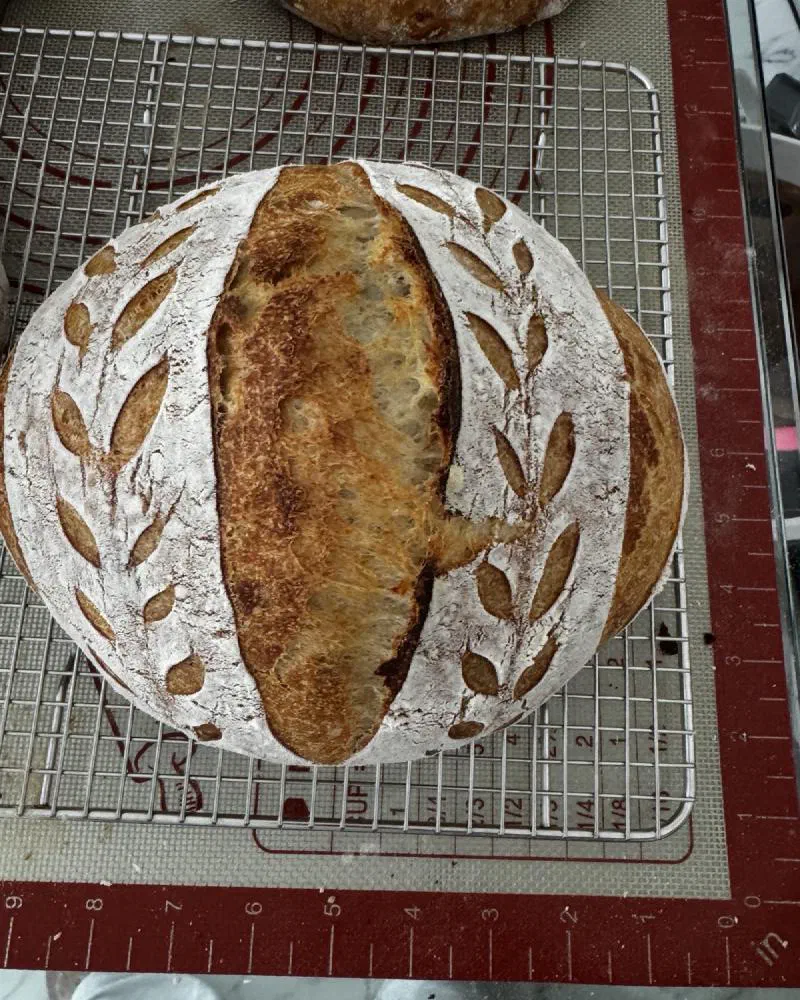 A round loaf scored with rows of little leaves