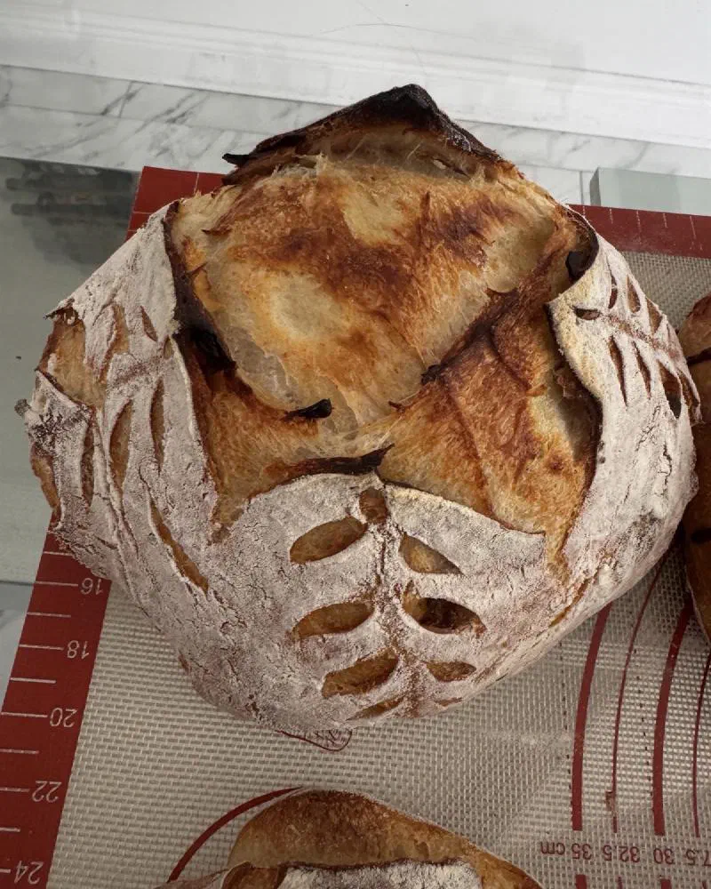 A rustic loaf with a tall, crackly ear