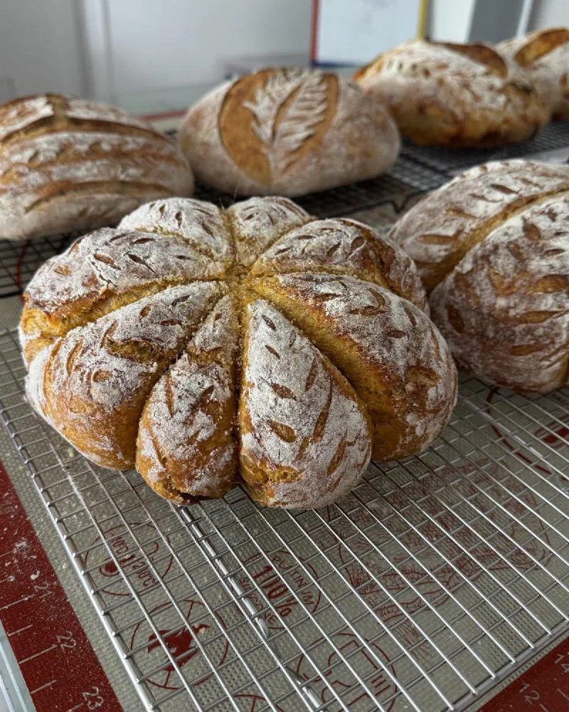 A pumpkin-shaped Sweater Weather loaf in front of more loaves